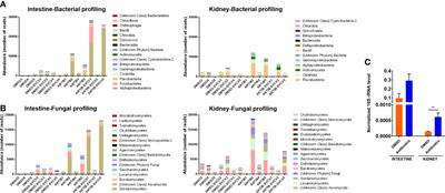 An environmentally relevant concentration of antibiotics impairs the immune system of zebrafish (Danio rerio) and increases susceptibility to virus infection